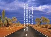 LOL决赛-沙漠风暴，莱万多夫斯基的节奏魔术，阿联酋在2026世界杯B组焦点战中撕裂五星巴西