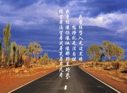 LOL决赛-沙漠风暴，莱万多夫斯基的节奏魔术，阿联酋在2026世界杯B组焦点战中撕裂五星巴西
