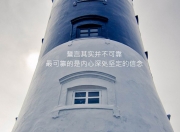 -沙漠血刃，2026世界杯复仇之战，布罗佐维奇导演伊拉克对阿联酋的史诗级碾压