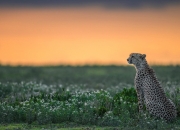 LOL赛事-最后的阿特拉斯，摩洛哥补时风暴掀翻银河战舰，苏亚雷斯独造三球封神