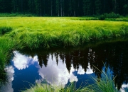 英雄联盟总决赛赛程-巨星闪耀难救主，新疆铁骑踏破篮网争冠路