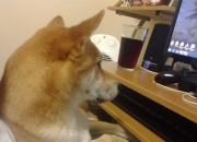 英雄联盟总决赛时间-疆场与世界，当新疆开拓者与美加墨的绿茵焦点同频