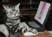 英雄联盟总决赛门票-极速绿茵，当F1引擎遇见伯纳乌魔法