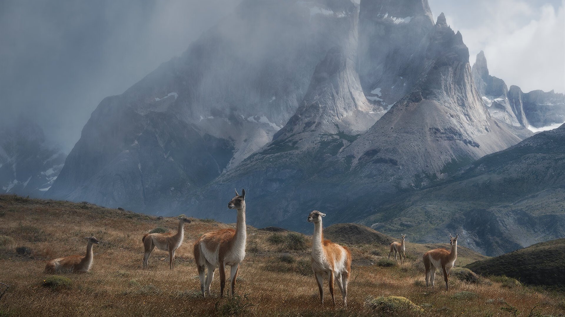 铁骑与利刃,当克罗地亚的集体风暴,淹没阿森纳的华丽孤岛