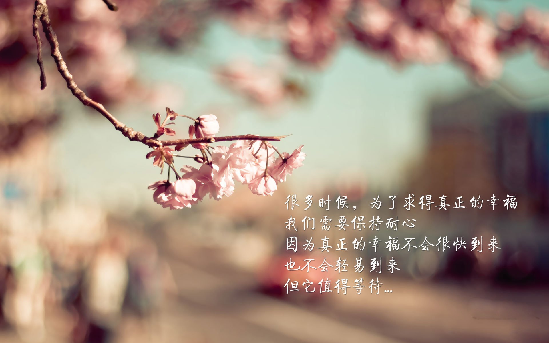 风暴眼，巴尔韦德如何在塞内加尔对阵厄瓜多尔之战中完全掌控节奏