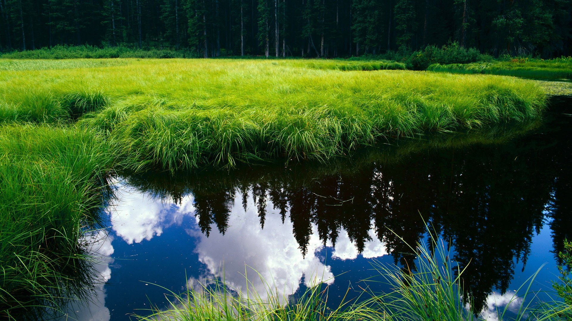 巨星闪耀难救主,新疆铁骑踏破篮网争冠路