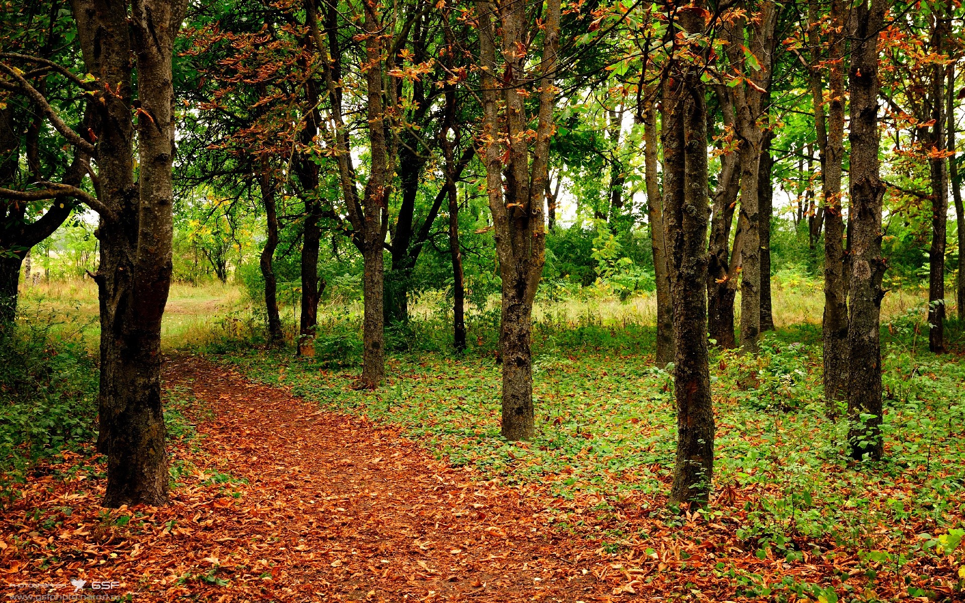 当悬念终结，唯一的国王正在孤独登顶