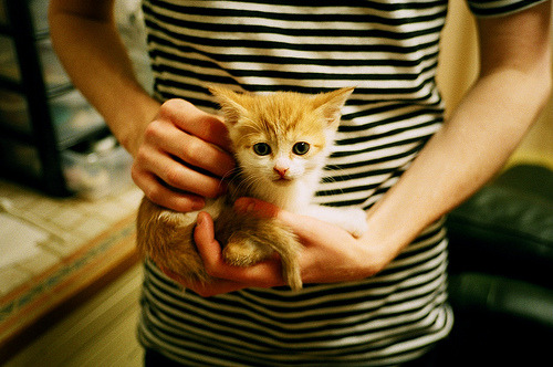 冰与火的淬炼，冰岛带走乌拉圭，金玟哉筑起叹息之墙