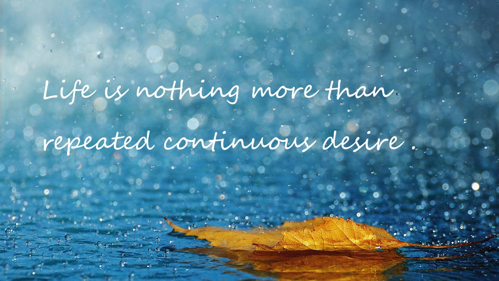 冰与火,当火箭的焰群撞上布克的孤日