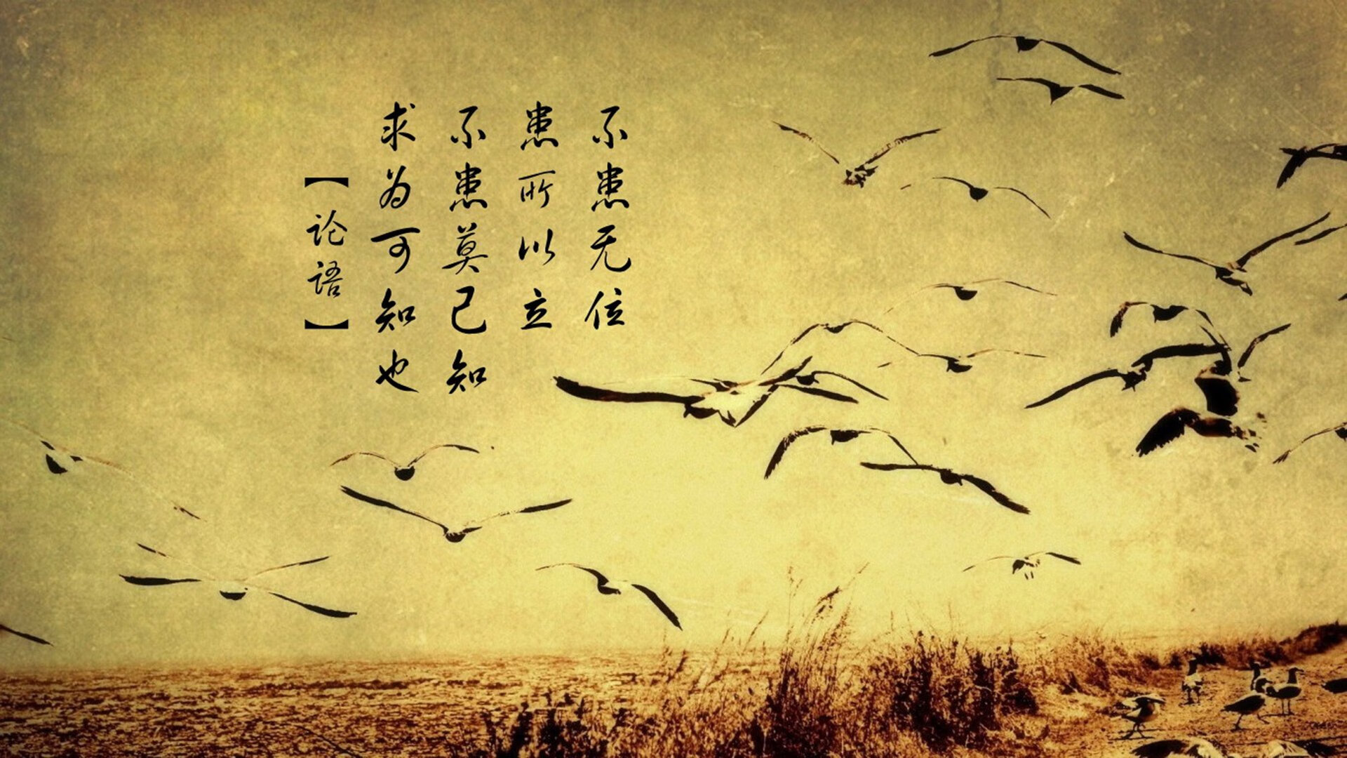 独享的夜，当伦纳德让所有争论归于沉寂