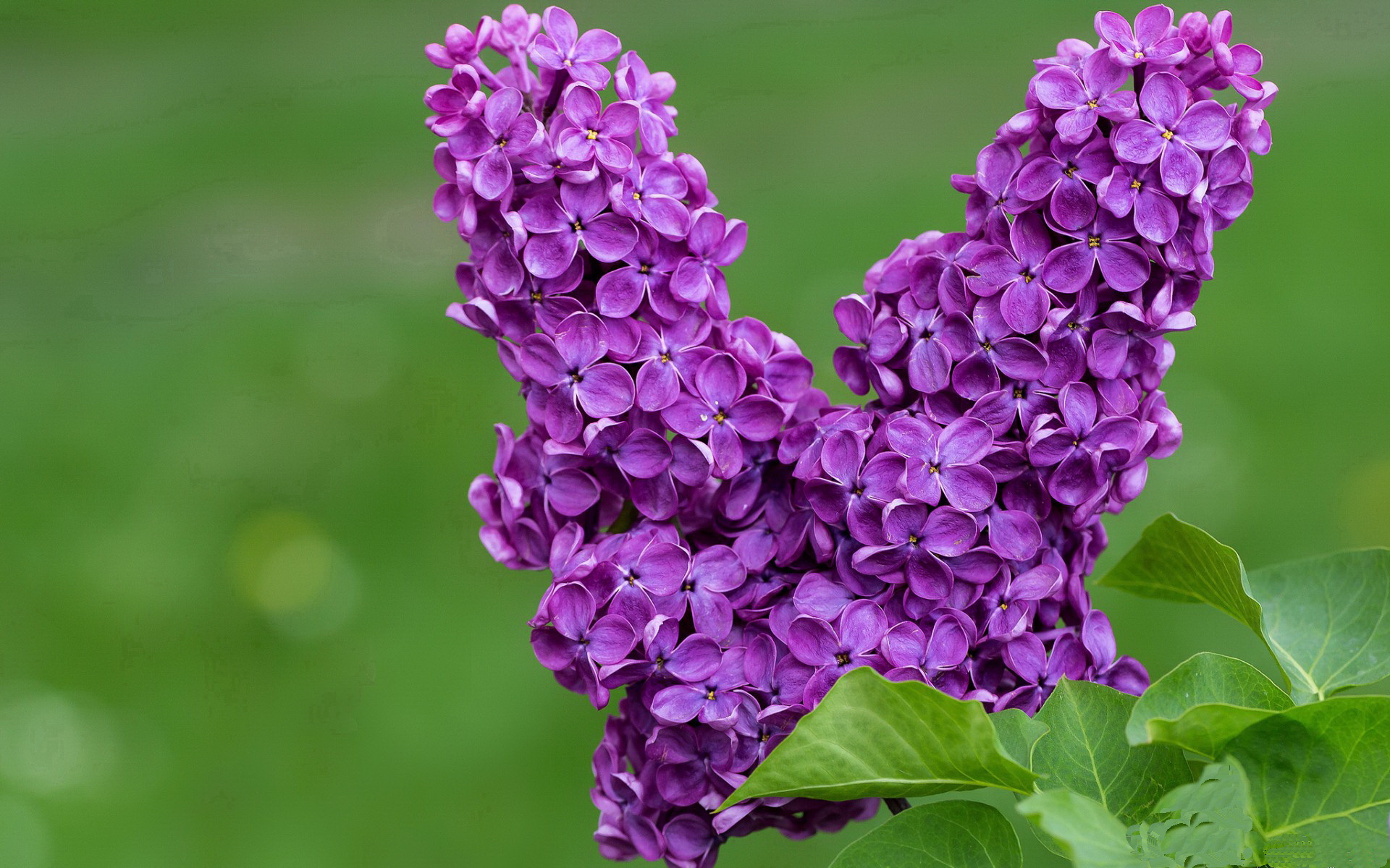 哨响之后，世界杯决胜球与雄鹿横扫勇士的量子纠缠