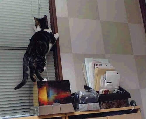 绝境之焰,保罗一球定音,篮网跨越大洋的致命狙击