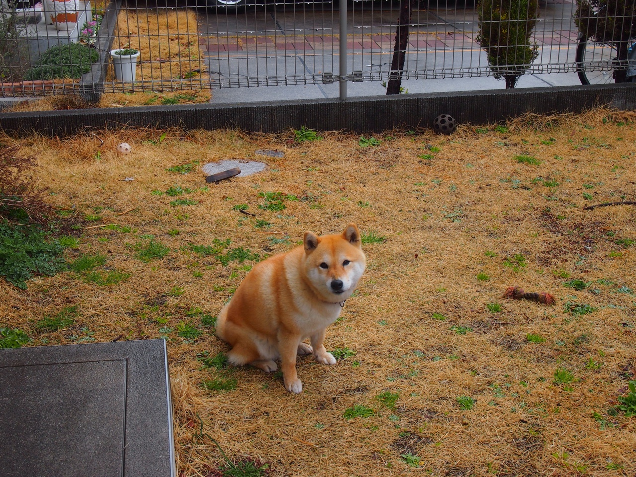 冰与火的淬炼，当太阳在迈阿密以防守之名升起