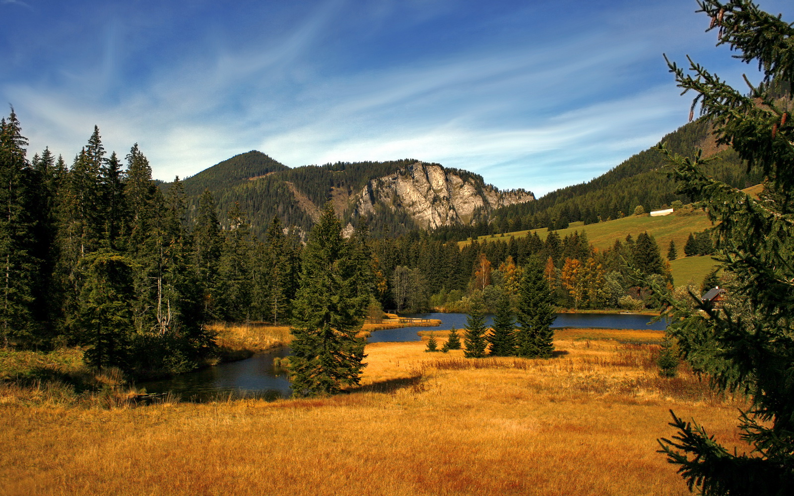 班凯罗的持续杀伤,一场跨越八千英里的篮球哲学对话
