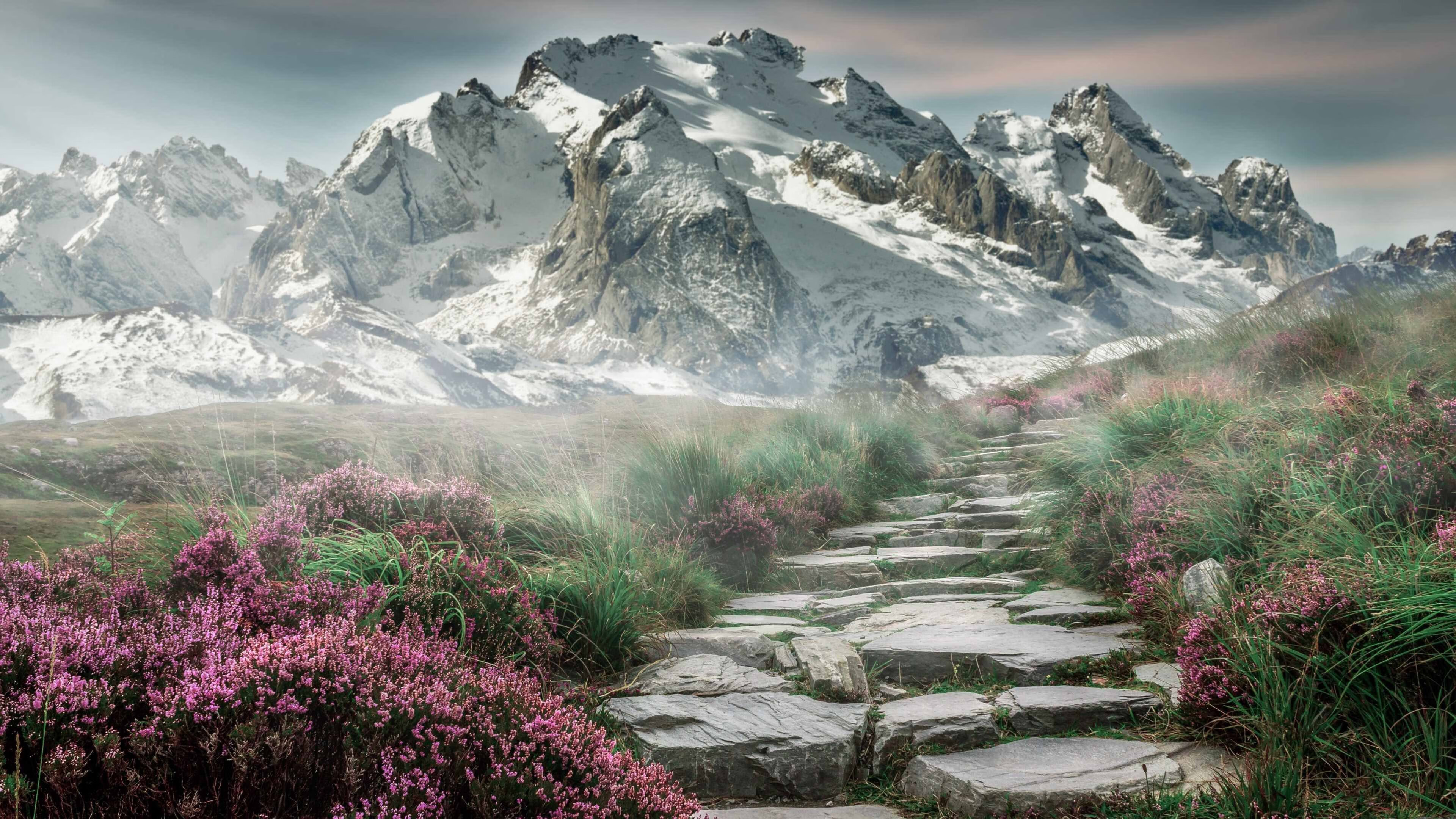 冰与火之歌，芬兰冰刀如何在全场瞩目下冻结里昂雄狮