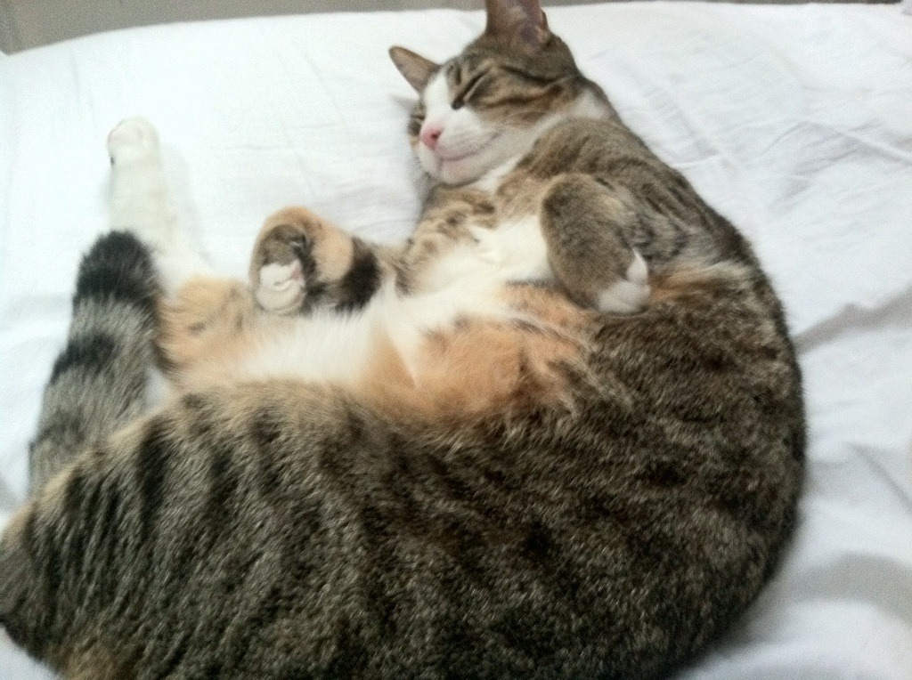 灯火长河，斯通斯千场之夜