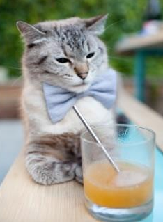 东亚风暴席卷梦剧场，北欧神话照耀米兰城，当日本足球的集体胜利遇见伊布的不朽个人主义