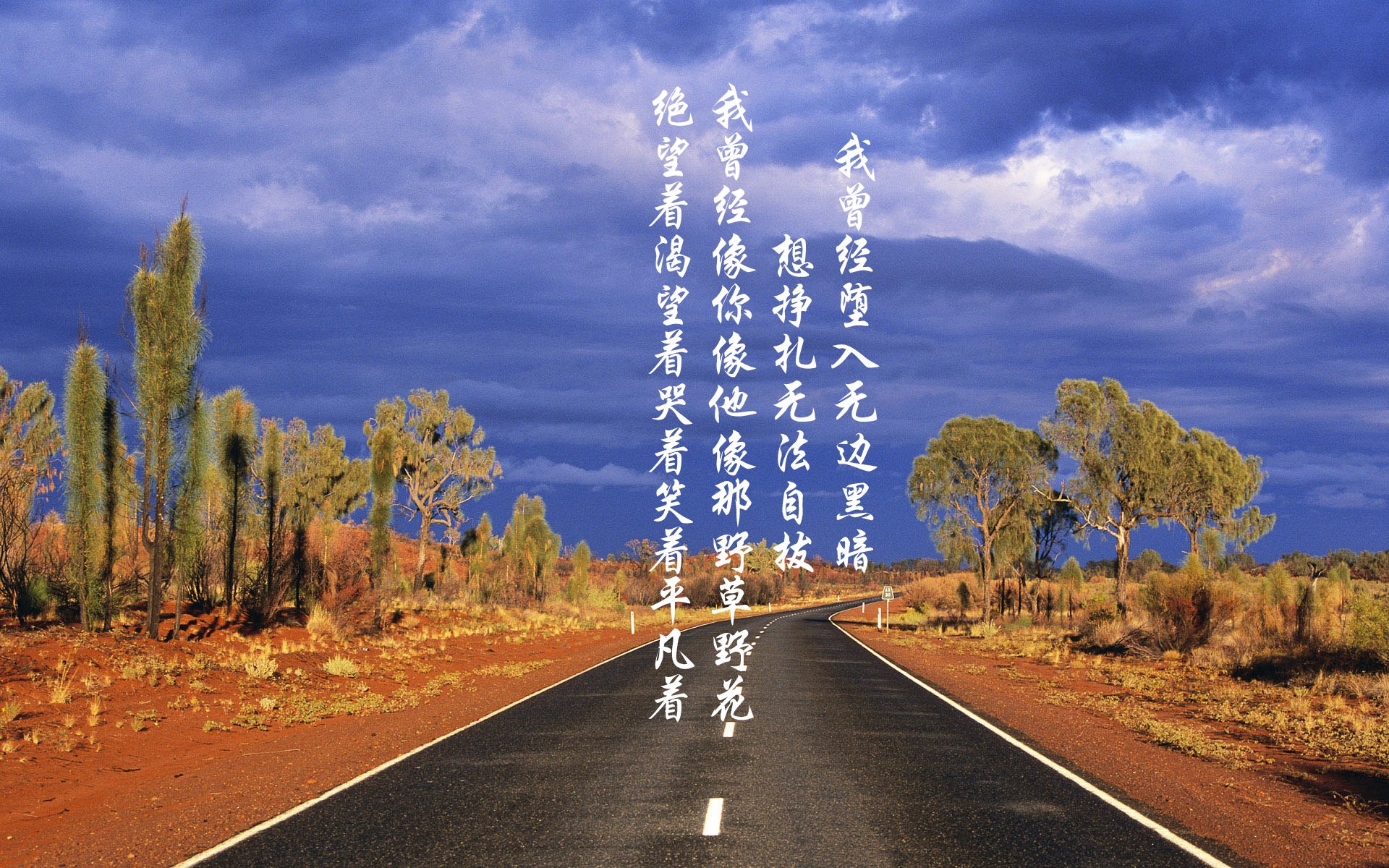 狼牙撕咬，蜘蛛织网，森林狼的团队防守与切特的协防艺术如何绞杀76人