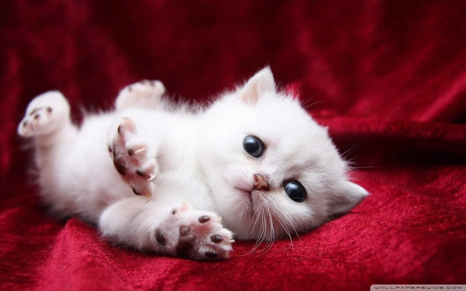 体育晨报,国家德比点燃西班牙,北欧战车加时奏凯