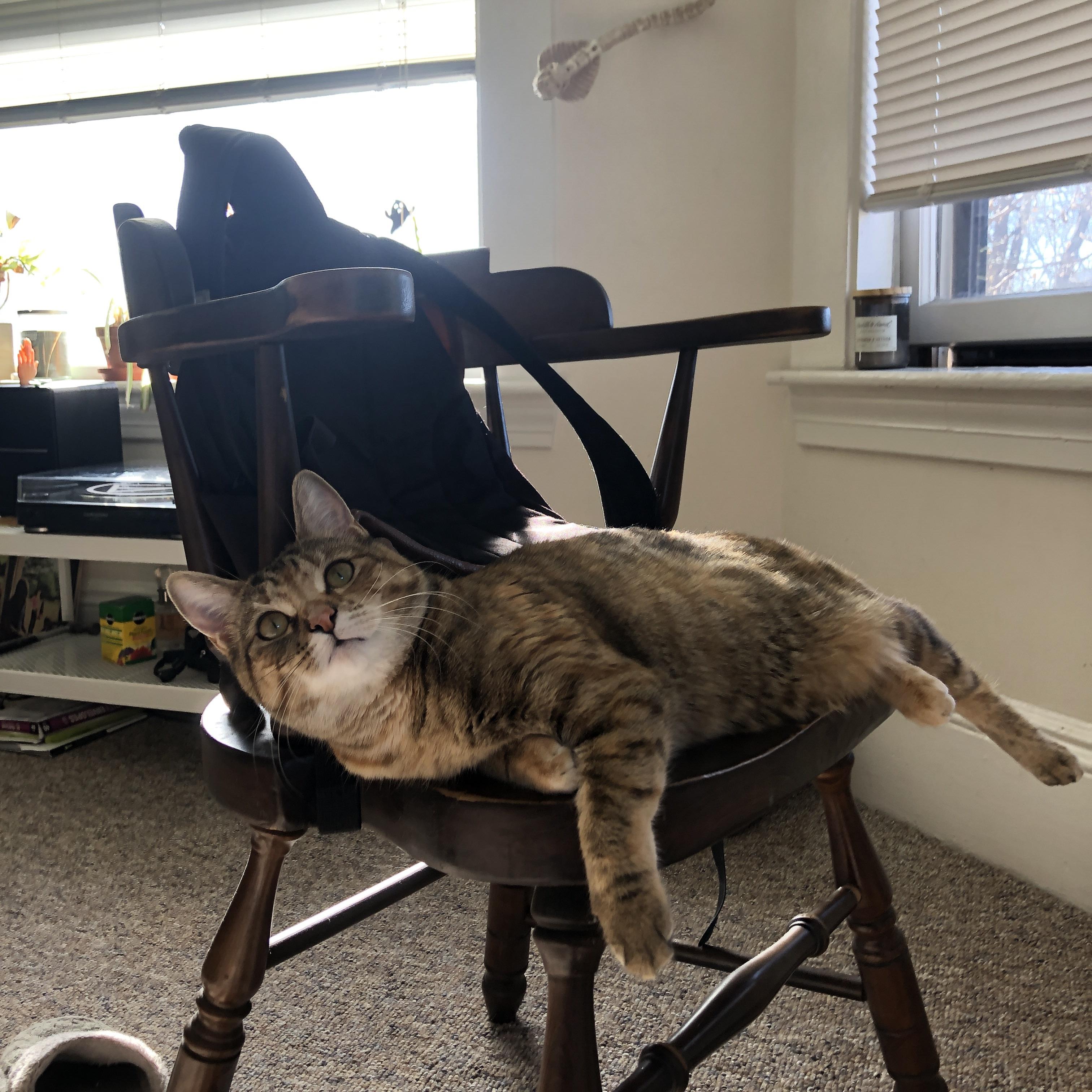 跨越大洋的篮球回响，文班亚马定义未来，活塞给CBA上一课