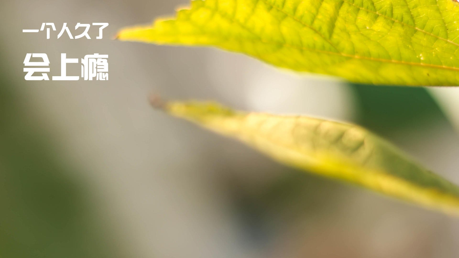 绝杀!战术棋局,尼日利亚惊险逆转奥地利,抢占世界排名争夺战要塞