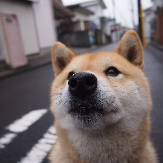 唯一性!四个维度改变战局,英格拉姆用一场比赛定义自己