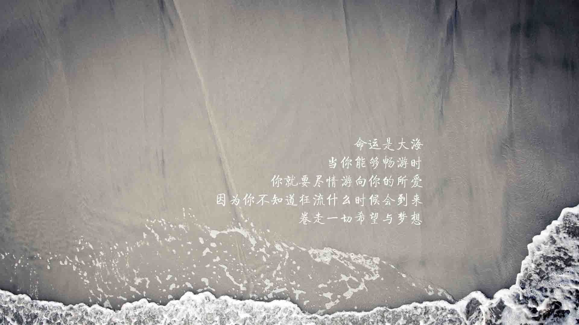 蓝衣军团的铁幕重现,2026世界杯D组,意大利如何用全场压制书写唯一剧本