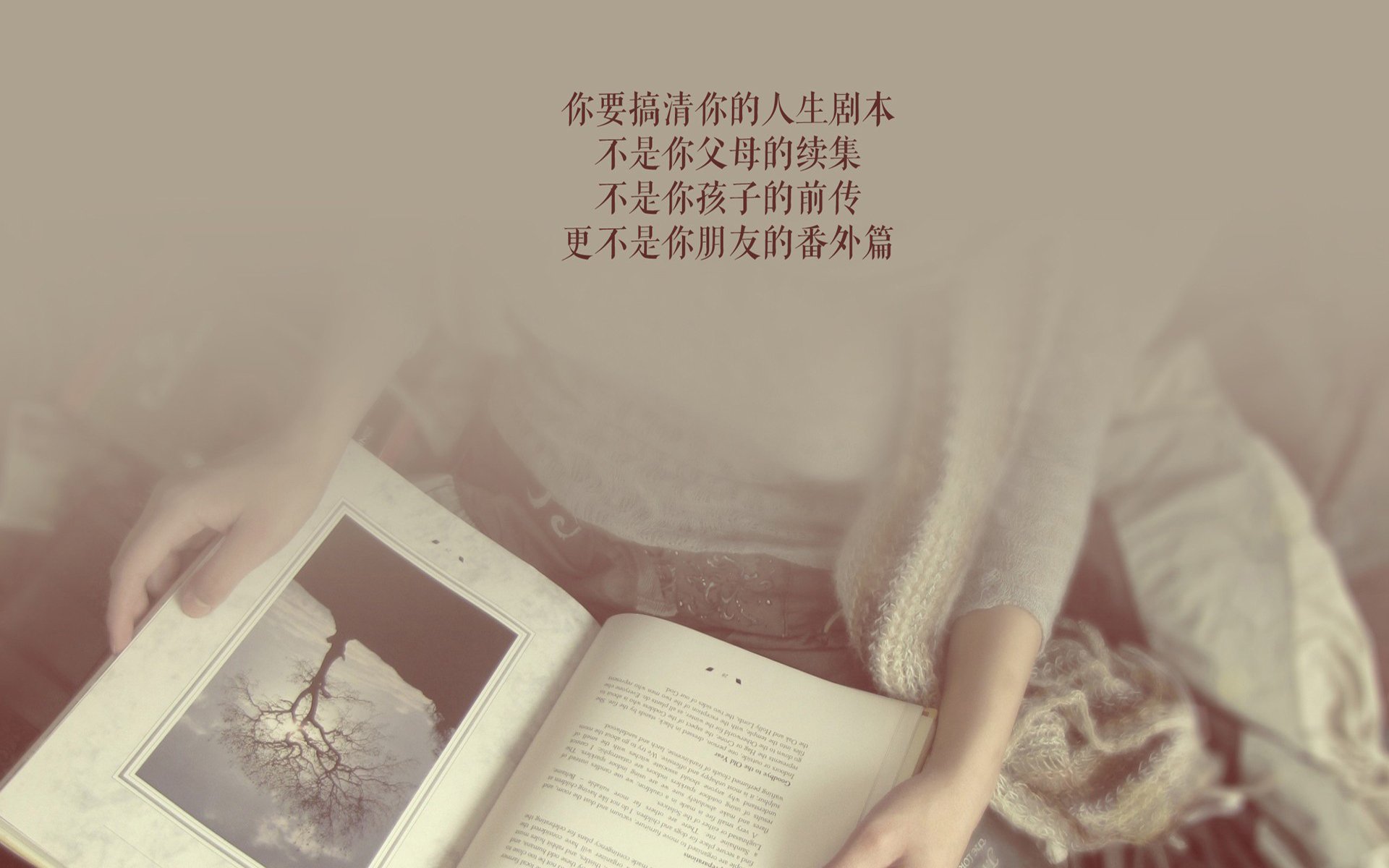 多哈奇迹之夜,当莱万化身南美克星,替补奇兵掀翻夺冠大热